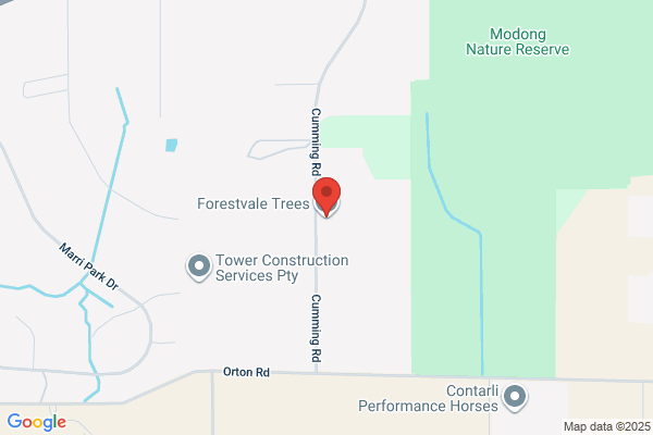 Forestvale Trees