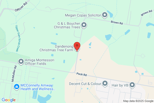 Dandenong Christmas Tree Farm