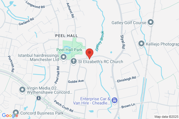 Best Disco In Town Disco Services