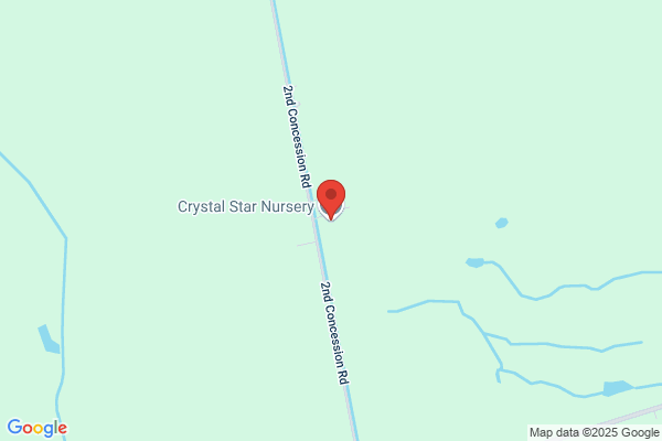 Crystal Brook Nursery