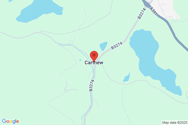 Carthew G D