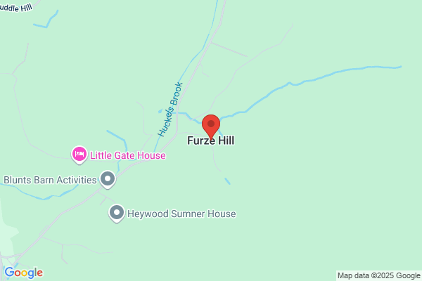 Furze E H