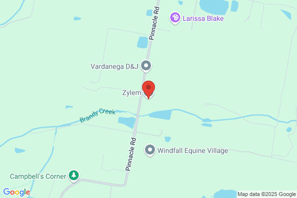 Zylem