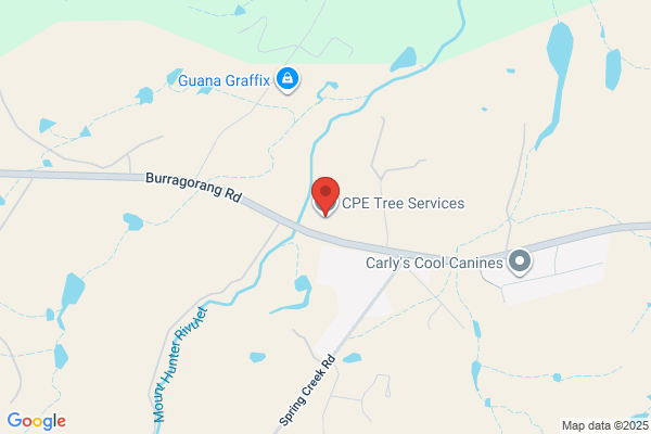 CPE Tree Services