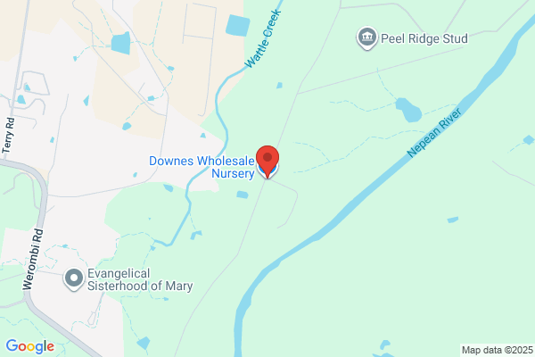 Downes Wholesale Nursery Pty Ltd