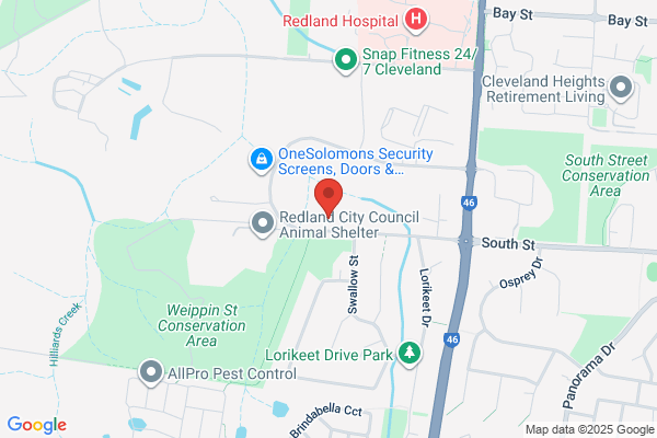 Cleveland Automotive Repairs