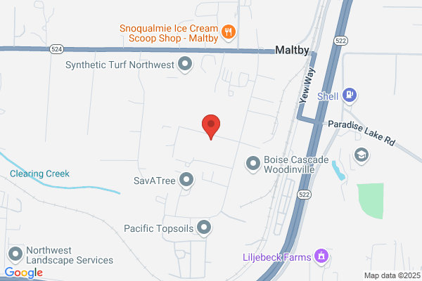 Temporary Screw Anchors