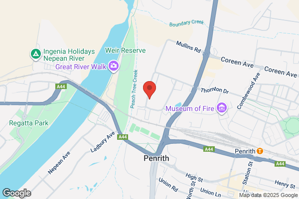 Potter Automotive
