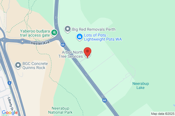 Arbor North Tree Services