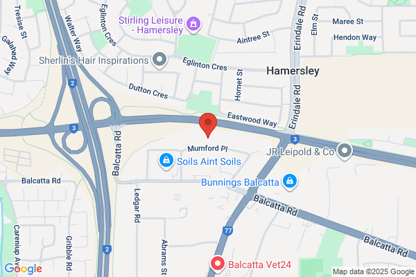 Vision One Homes
