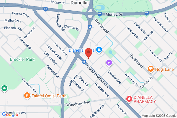Blooms The Chemist Dianella