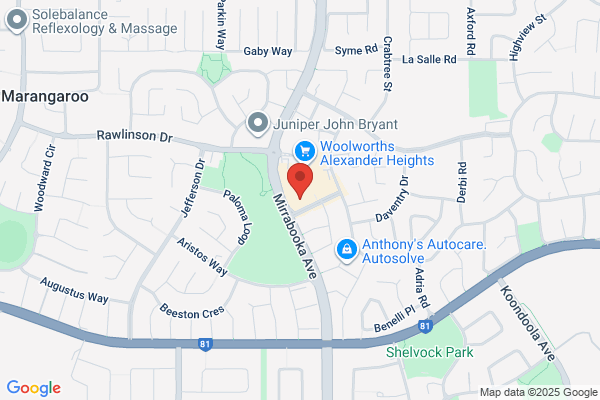 Domino's Pizza Alexander Heights