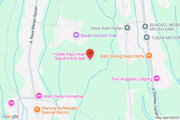 Bali Hotline