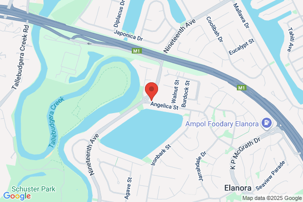 19th Ave Veterinary Surgery