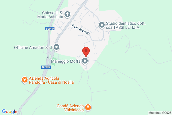 Condello & Co