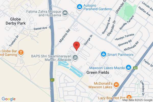Danzic Freight Services