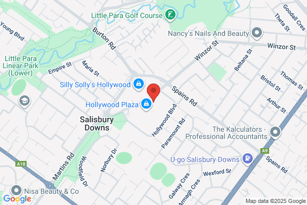 Domino's Pizza Hollywood Plaza