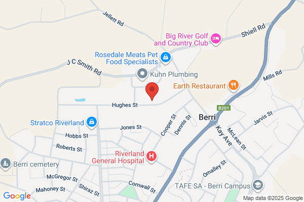 Berri Diesel Injection Service Pty Ltd