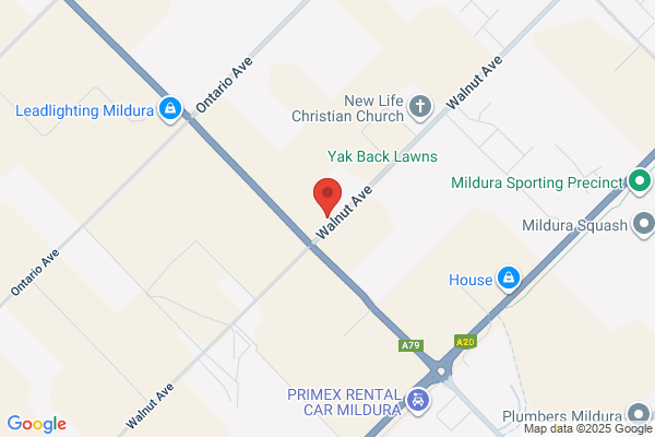 Bozzi & Co Bulk Transport
