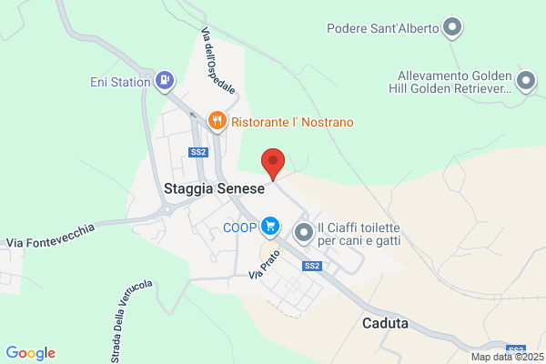 Ciardi Dr A