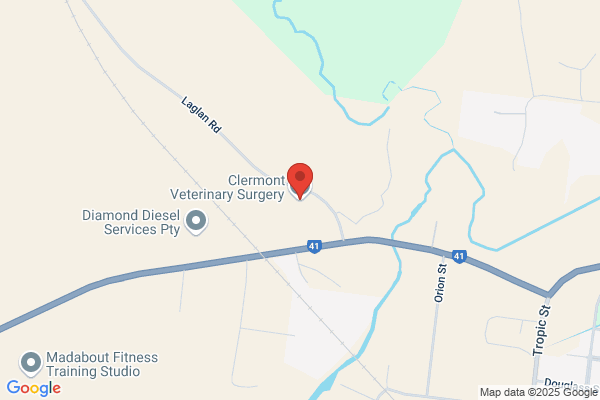 Clermont Veterinary Surgery
