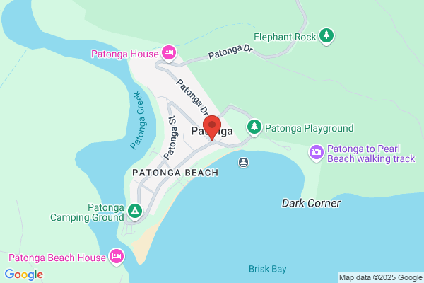 Apple Painting Service
