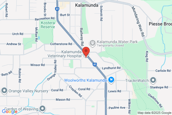 Kalamunda Veterinary Clinic