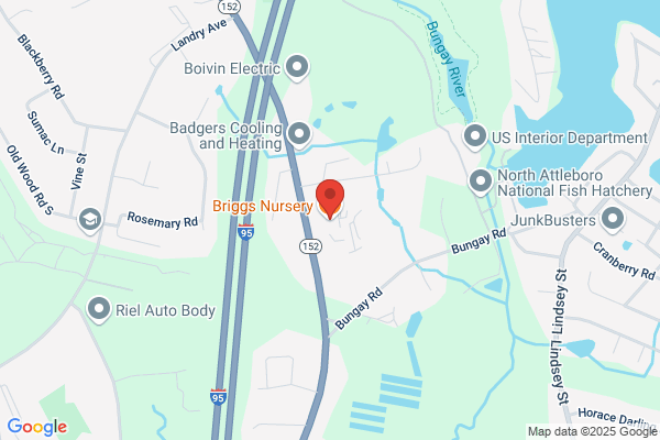 Briggs Nursery