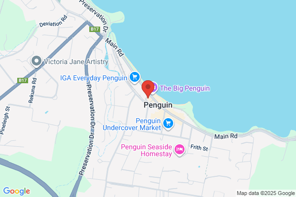 Groovy Penguin Cafe