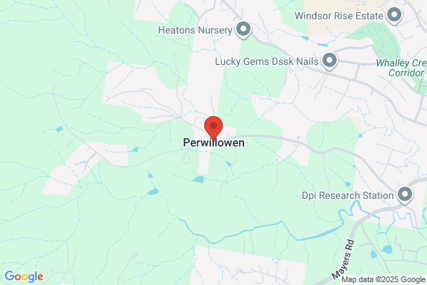 D & S Eyewear
