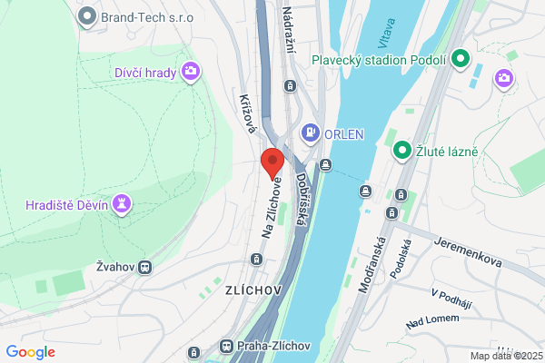 Antic-Pavlovic Jelica Dr