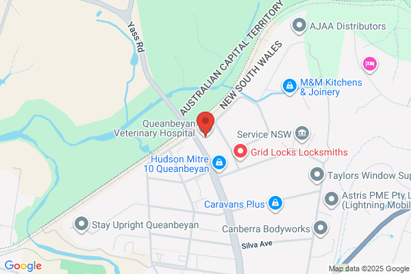 Blair Lamont,Queanbeyan Veterinary Hospital