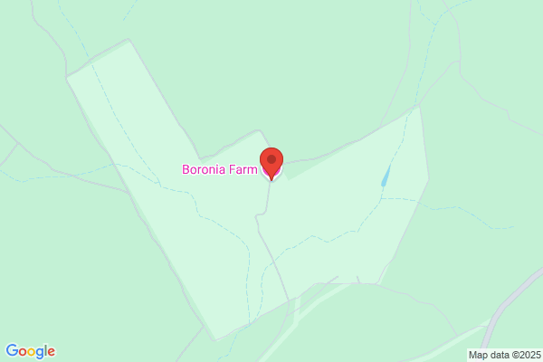 Boronia Rooms