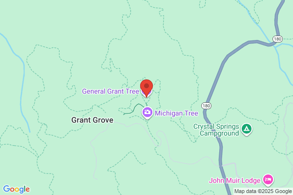 Grant W T