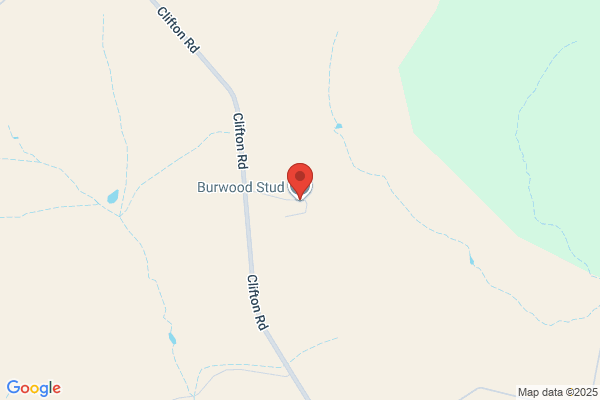Burwood Stud