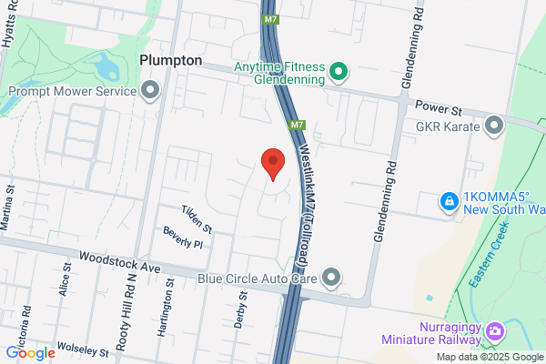 Buttonwood Cattery