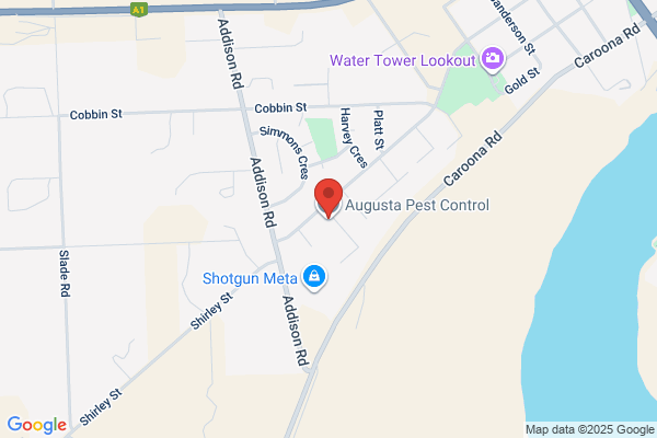 Augusta Pest Control