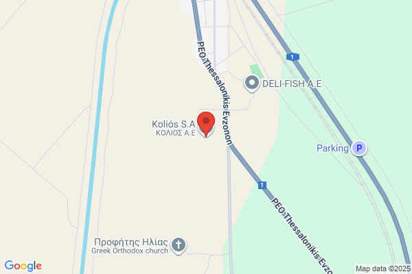 Kollios D Dr