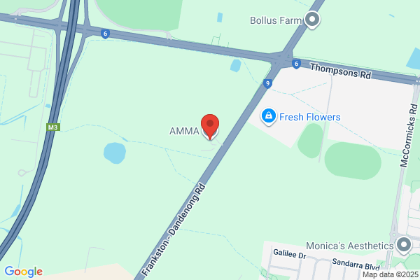 AMMA