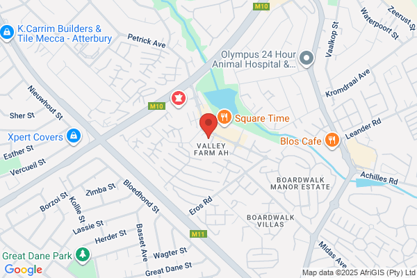 Enslin & Associates