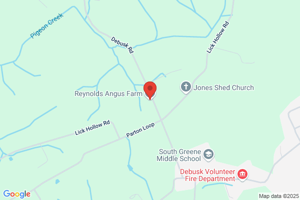 Angus Reynolds Dr