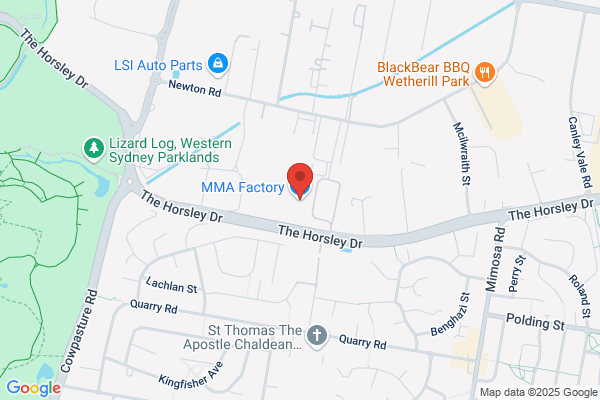 Action Martial Art Supplier