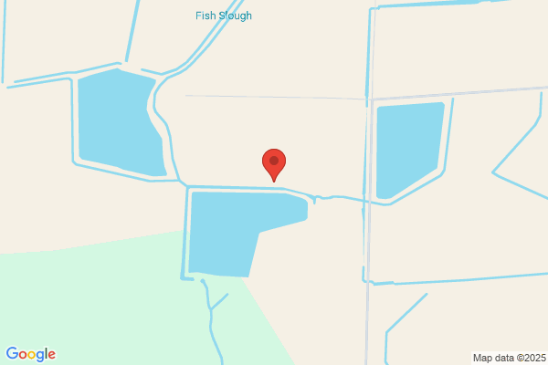 Belcher A R