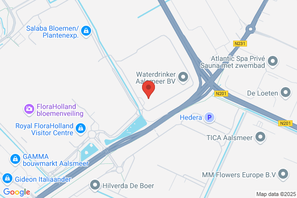 Aalsmeer Floral Studio