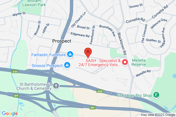 A B M Automotive Repairs