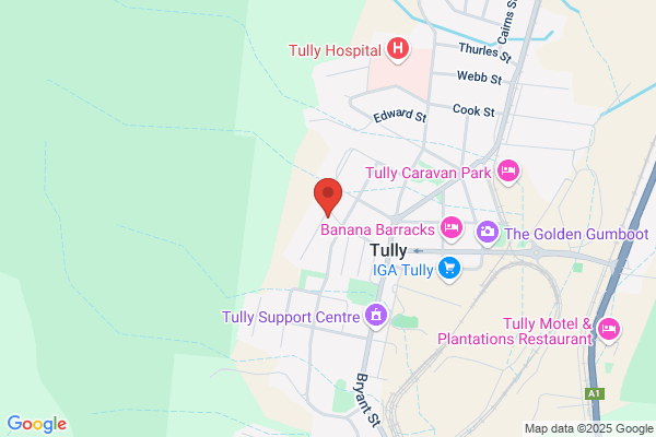bloom hearing specialists Tully