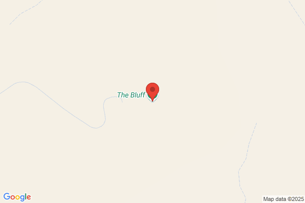 Bluff Downs Station