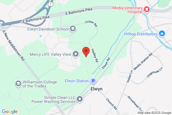 Delves Elwyn