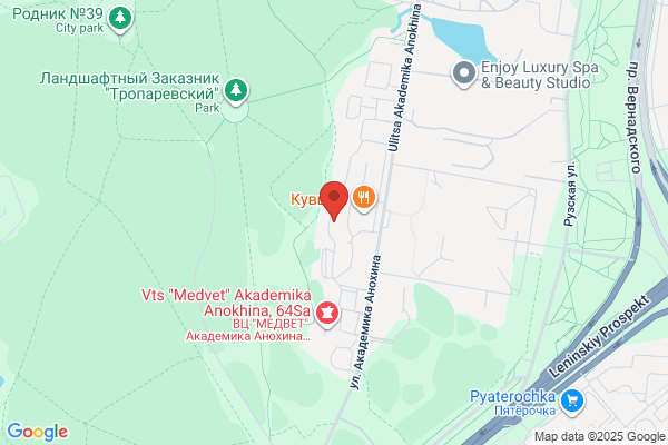 Acupuncture Veterinarian