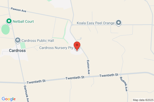 Cardross Nursery Pty Ltd